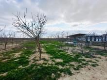 Azerbaijan, commercial real estate for sale. Property for sale, -5
