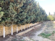 Buy a plot of land in Novkhani settlement of Baku city, -1