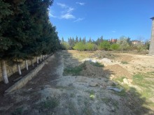 Buy a plot of land in Novkhani settlement of Baku city, -3