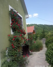 Rent (daily) Cottage, -5