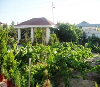 Kirayə (Aylıq) Həyət evi, Xəzər.r, Mərdəkan-8