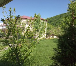 Rent (daily) Cottage, İsmayilli.c-13