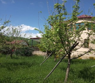 Kirayə (Günlük) Həyət evi, İsmayıllı.ş-19