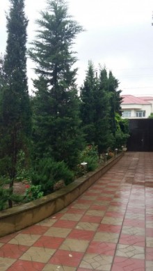 Rent (daily) Villa, Sabunchu.r, Bilgah, Koroglu.m-4
