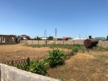 Sale Land, Khazar.r, Buzovna, Koroglu.m-1