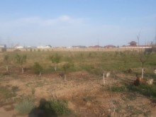 Sale Land, Surakhani.r, Qovsan, Koroglu.m-1