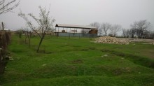 Sale Land, Tovuz.c-4