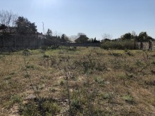 Sale Land, Khazar.r, Mardakan, Koroglu.m-2