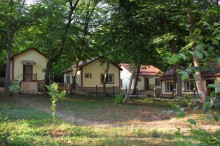 Rent (daily) Cottage, Qusar.c-15
