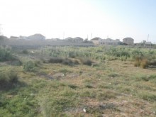 Sale Land, Sabunchu.r, Pirshagi-5