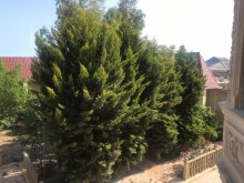 Satılır Villa, Suraxanı.r, Hövsan-13