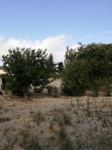 Sale Land, Khazar.r, Mardakan-6