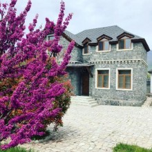 Kirayə (Günlük) Villa, Qəbələ.ş-18