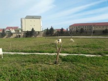Sale Land, Khazar.r, Zagulba-7