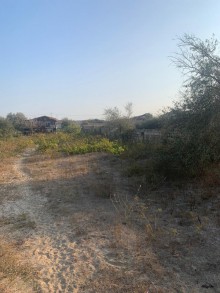 Sale Land, Absheron.r, Novkhani-12