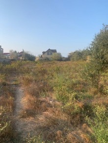 Sale Land, Absheron.r, Novkhani-13