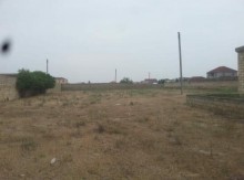 Sale Land, Sabunchu.r, Bilgah, Koroglu.m-3