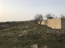 Sale Land, Sabunchu.r, Albali, Koroglu.m-7