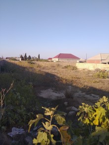 Sale Land, Sabunchu.r, Albali, Koroglu.m-1