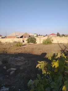 Sale Land, Sabunchu.r, Albali, Koroglu.m-3