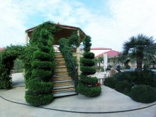 Villa mardakan bravo qala yolunda yolu asfalt, -4