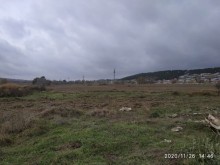 Sale Land, Shamaxi.c-12
