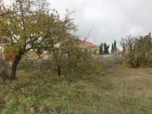 Sale Land, Khazar.r, Mardakan-2