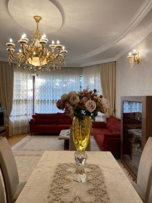 To buy a well-maintained house in the center of Bakukhanov settlement, on a 4 sot area, -12