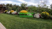 villa for sale with a magnificent garden, -14