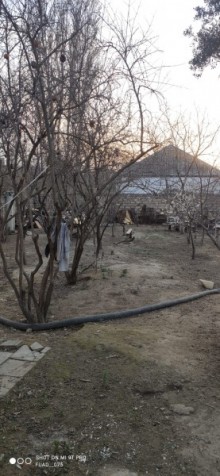 Kirayə (Aylıq) Həyət evi, Nizami.r, 8-ci kilometr, Qara Qarayev.m-1
