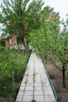 Kirayə (Aylıq) Villa, Xəzər.r, Mərdəkan-10