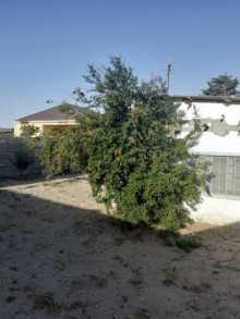 Sale Cottage, Sabunchu.r, Albali-4