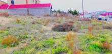 Sale Land, Sabail.r, Badamdar-2