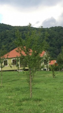Rent (daily) Villa, İsmayilli.c-5
