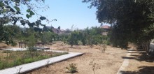 villa in Bilgeh has an area of ​​300 square meters, -20