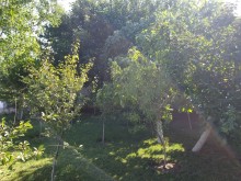 buy a villa in Teymur Guliyev garden area in Merdekan, -12