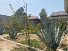 11 acres of land for sale in Merdekan, -2
