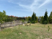 buy land in baku in mardakan village 40 acres, -3