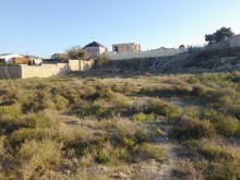 land for sale in novkhnai 30 acres, -1