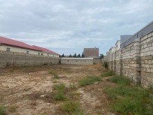 Buy and close to Ibo market in Mardakan 13 acres, -3