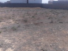 for sale an empty land plot in the village of Badamdar, -6