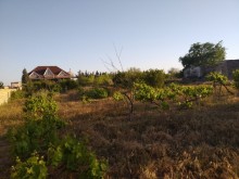 buy land near the Karabakh camp in Pirshagi, -2