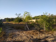 buy land near the Karabakh camp in Pirshagi, -4