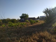 buy land near the Karabakh camp in Pirshagi, -6