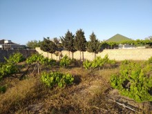 buy land near the Karabakh camp in Pirshagi, -8