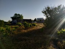 buy land near the Karabakh camp in Pirshagi, -10