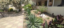 buy A garden house in Novkhani Baku, -14