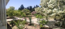 buy A garden house in Novkhani Baku, -16