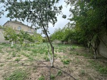 Şaganda Torpaq almaq, -2