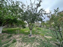 Şaganda Torpaq almaq, -4